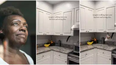 "Imagine walking into your kitchen and seeing this" - Woman captures cat stealing bread from cabinet