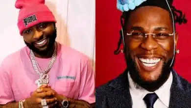 "Burna Boy should address Davido as God" - Hardcore fan kicks, reveals who brought Afrobeat to Nigeria