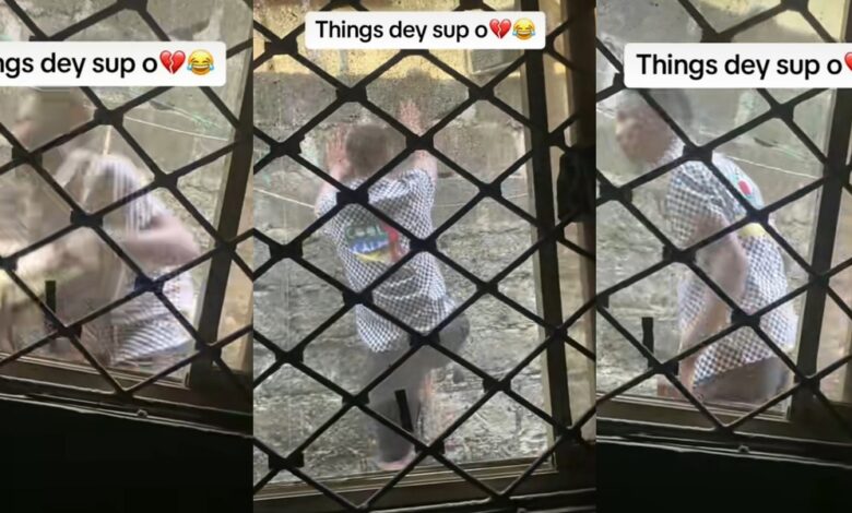 "E don red" - Young Nigerian jumps fences to steal generator, caught on camera