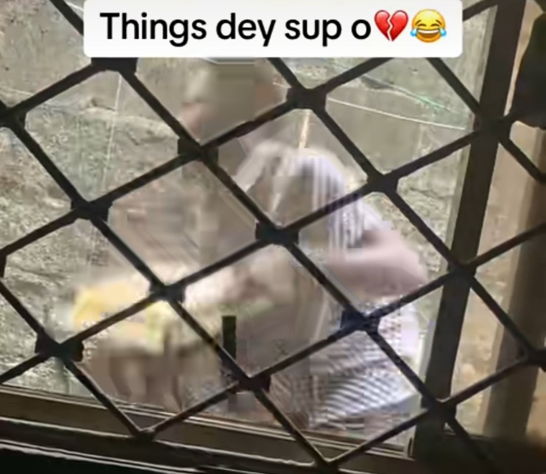 "E don red" - Young Nigerian jumps fences to steal generator, caught on camera