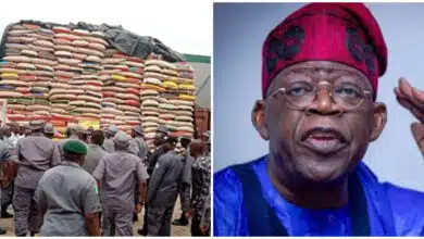 President Tinubu orders Customs to release seized food items to owners