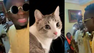 "A party for cat that gave birth" - Senegalese man and friends throw joyous party as cat welcomes new kittens