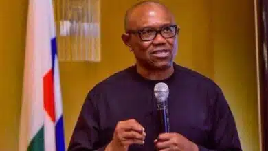 “Nigeria needs parliamentary system of government” — Peter Obi