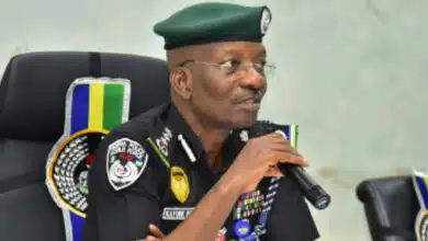 IGP insists Nigeria not 'Mature' for State Police, sticks to Centralized System