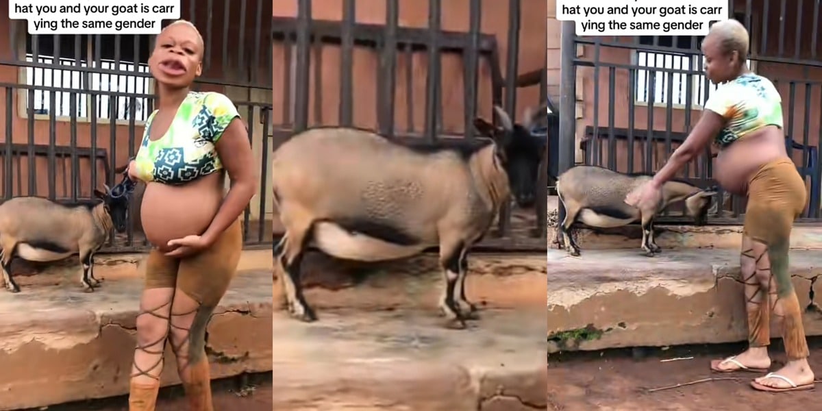 Woman joyful after discovering she and her goat are pregnant with same gender