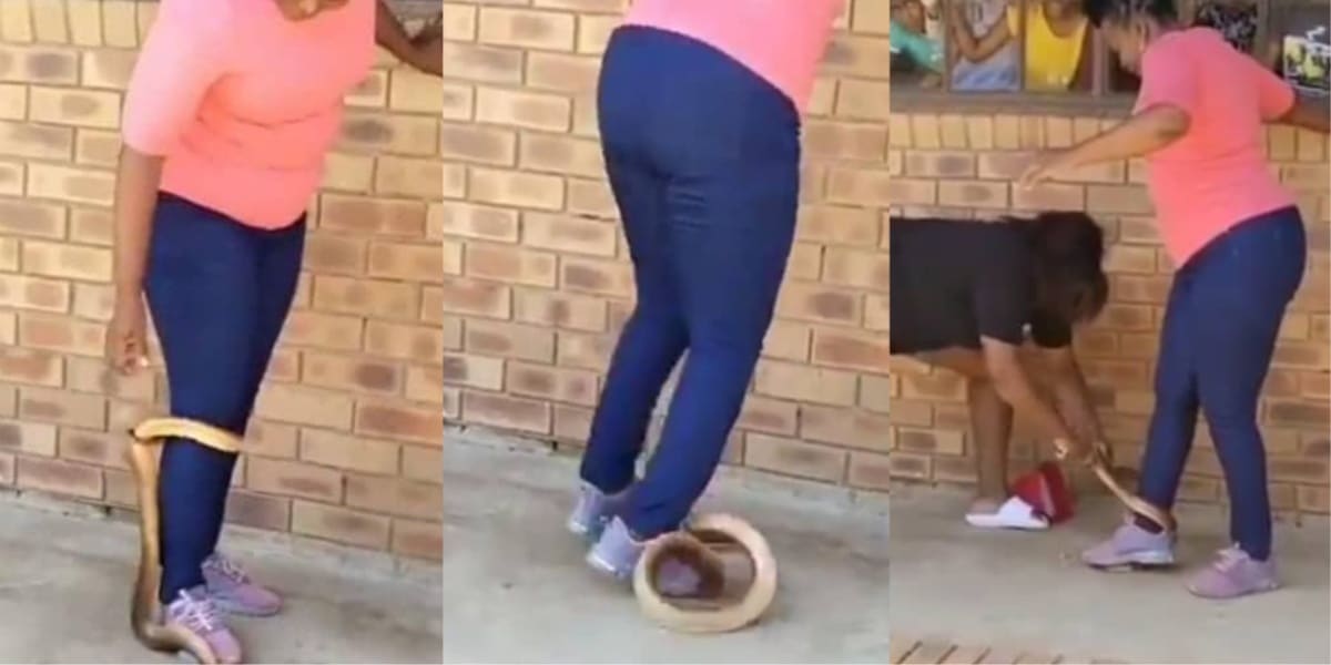 Shocking moment fearless woman crushes serpent's head with her feet