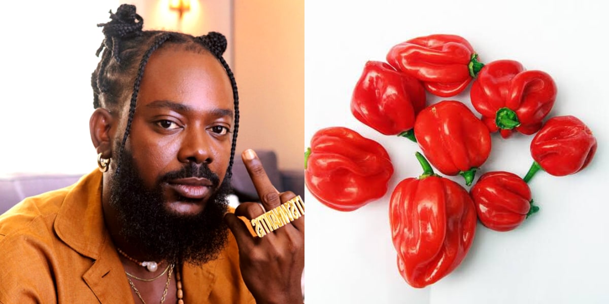 Man calls out Adekunle Gold for buying 8 pieces of pepper for N1K because of his song "Rodo", he reacts