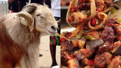 Influencer explains why Christians should not eat Sallah meat