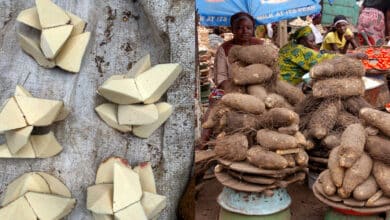 Hardship: Nigerians react to sale of raw yam slices in market