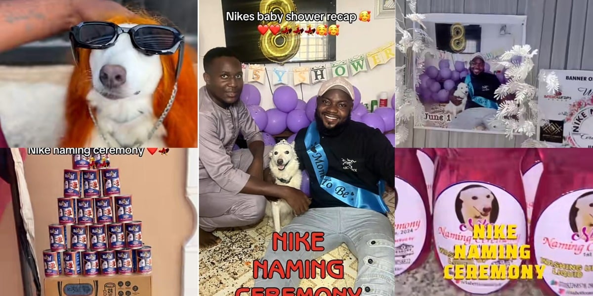 Nigerian man organizes naming ceremony for dog, Nike, and her 7 puppies