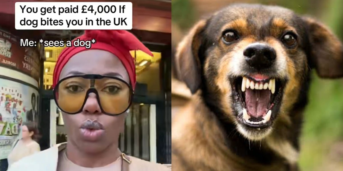 Nigerian woman vows never to surrender as she finds out she'll be paid 00 in UK if bitten by a dog