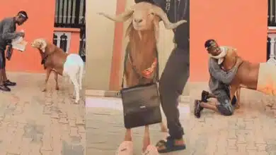 Nigerian man presents gift, bids emotional farewell to ram ahead of Eid Kabir festival