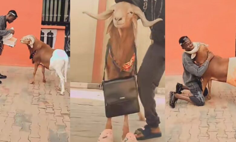 Nigerian man presents gift, bids emotional farewell to ram ahead of Eid Kabir festival