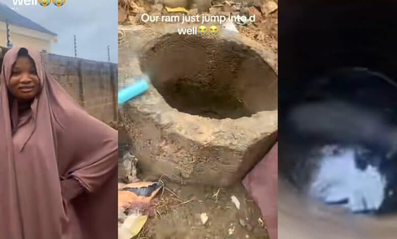 Nigerian lady's Eid El-Kabir plans suffer setback as ram jumps into well