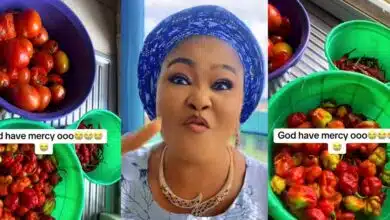 Mummy Dolarz rants online after buying small quantity of pepper for ₦12k at Mile 12 Market
