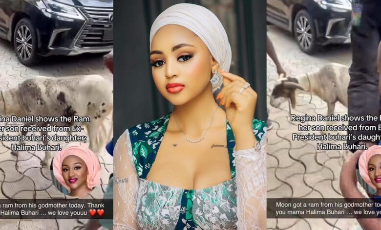 Regina Daniels' son allegedly receives Eid El-Kabir ram from Halima Buhari, daughter of ex-Nigerian president