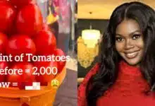 Nigerian chef breaks internet, reveals shocking cost of a pint of tomatoes