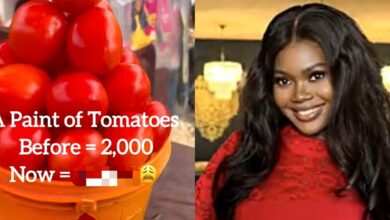 Nigerian chef breaks internet, reveals shocking cost of a pint of tomatoes
