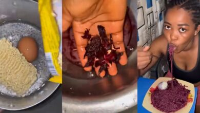 Nigerian lady wows social media with Zobo Noodles culinary skills