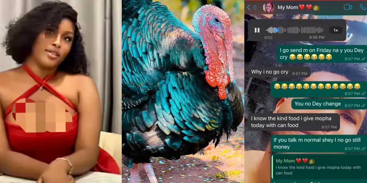 Nigerian mother bursts into tears as daughter's dog eats live turkey meant for her birthday
