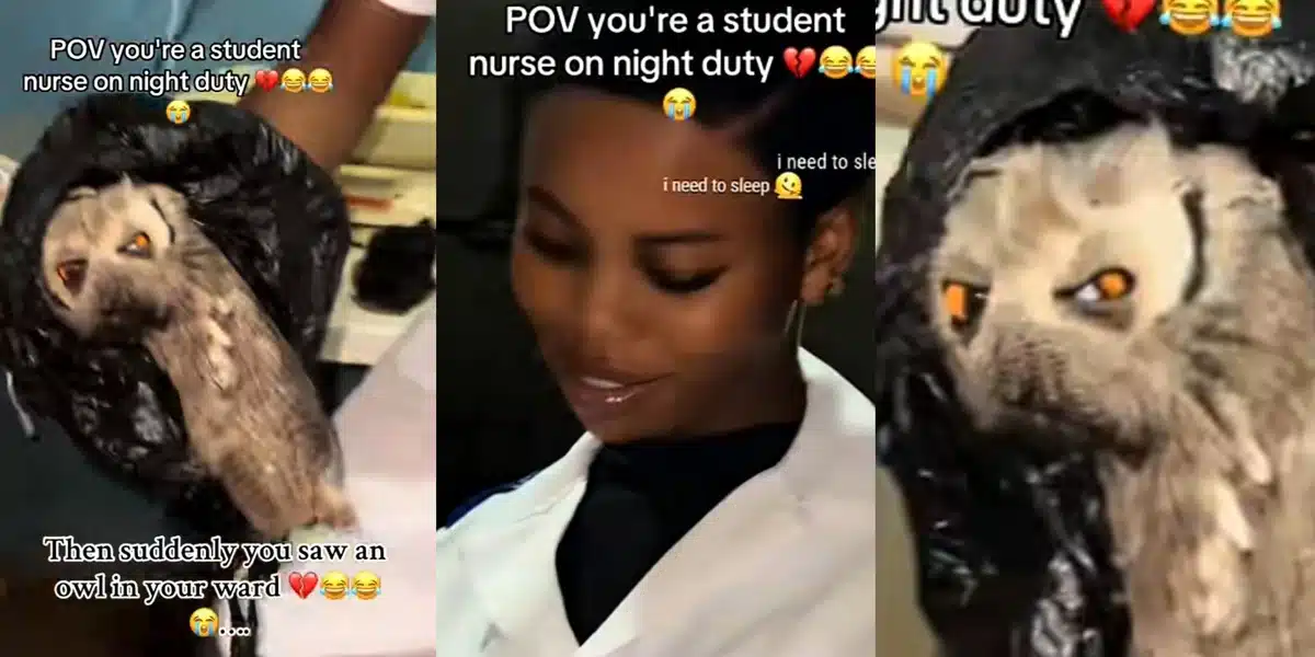 Nigerian nursing student discovers scary-looking owl in hospital ward during night duty