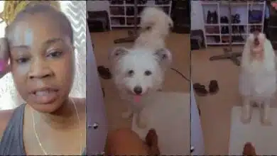 Lady shares shocking reaction of her dog to gospel music