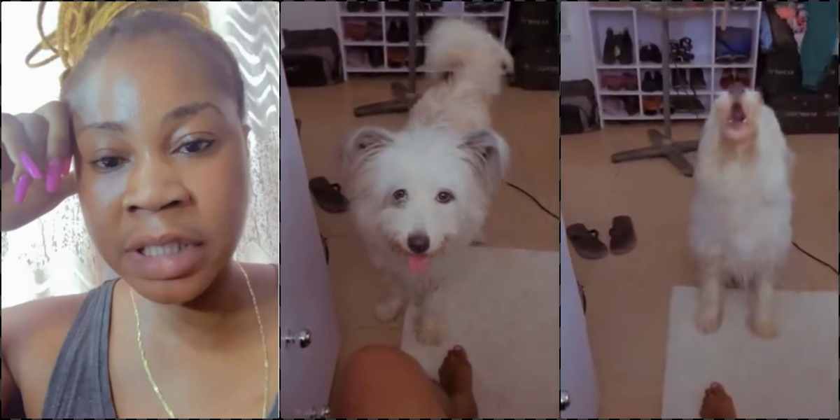 Lady shares shocking reaction of her dog to gospel music