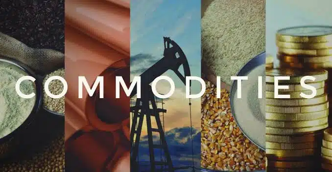 Key Terms Every Trader Should Know: Commodities Trading Glossary