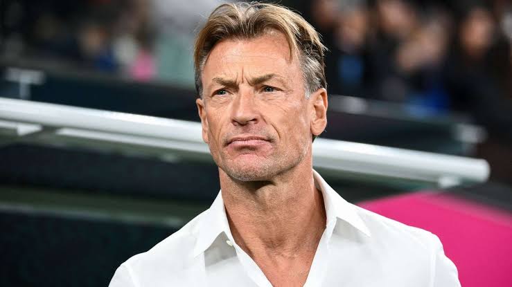 NFF denies contacting Herve Renard for Super Eagles coaching role