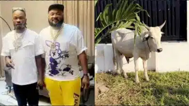 Naira Marley gifts Sallah cow to Sam Larry , he reacts
