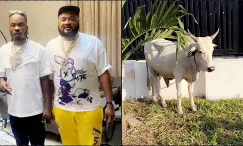 Naira Marley gifts Sallah cow to Sam Larry , he reacts