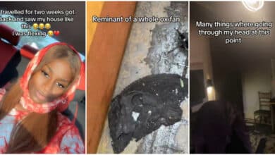Lady returns home after two weeks, shocked to find her fan burnt to ashes