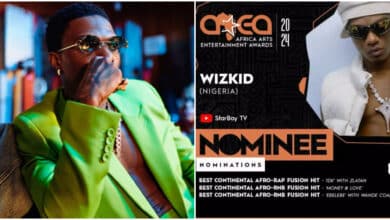 Wizkid nominated for 7 categories at Africa Arts Entertainments Award