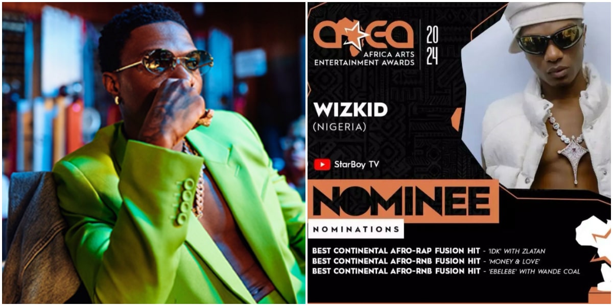Wizkid nominated for 7 categories at Africa Arts Entertainments Award