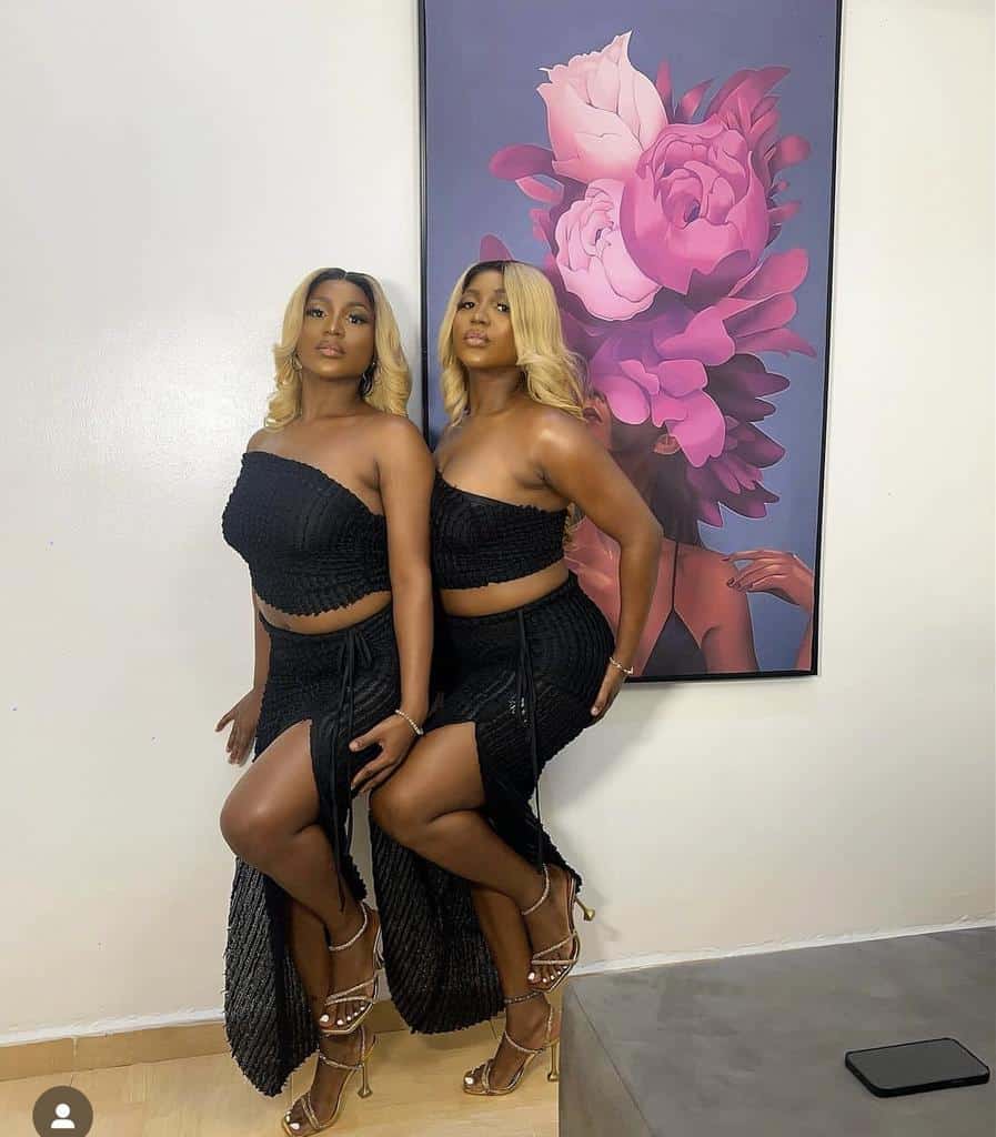 BBNaija Season 9: Our parents can’t tell us apart’ – Identical twins, Wanni, Handi