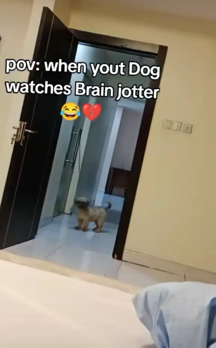 Man laments as he sees his dog participating in the Brain Jotter challenge 