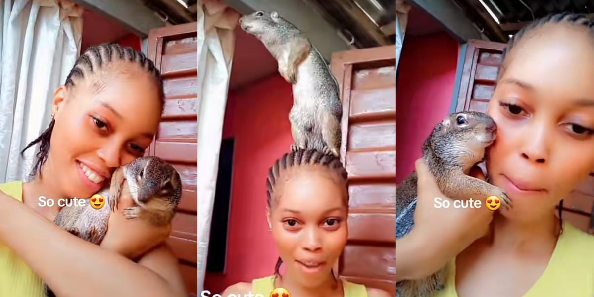 Nigerian lady adopts a squirrel as a pet, flaunts it online