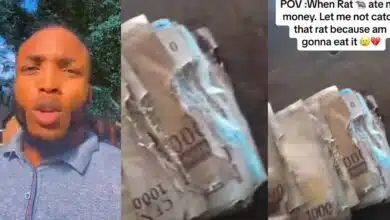 Nigerian man's money eaten by rat in shocking video, sparks online conversation