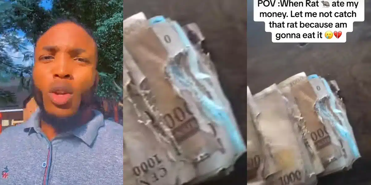 Nigerian man's money eaten by rat in shocking video, sparks online conversation