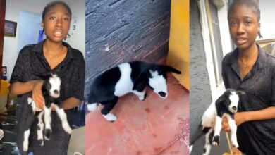 Nigerian mother sparks conversation, gifts daughter pet goat as 'new sister'