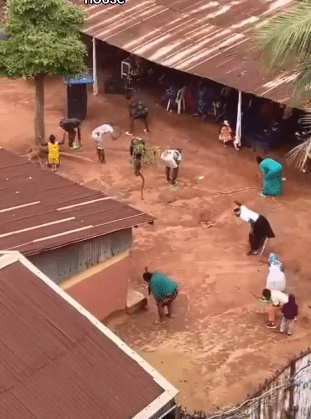 Mixed reactions trail video of church members flogging the ground