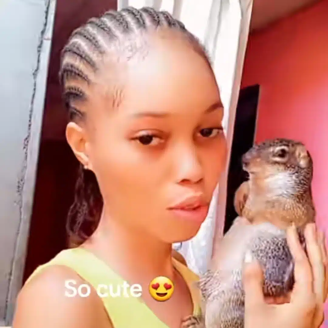 Nigerian lady adopts a squirrel as a pet, flaunts it online