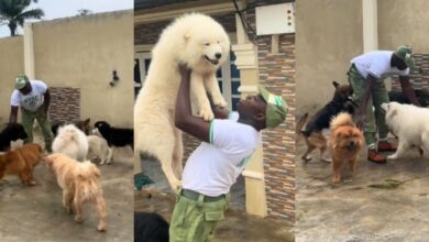 Corper shares how his dogs welcomed him after 3 weeks at NYSC camp