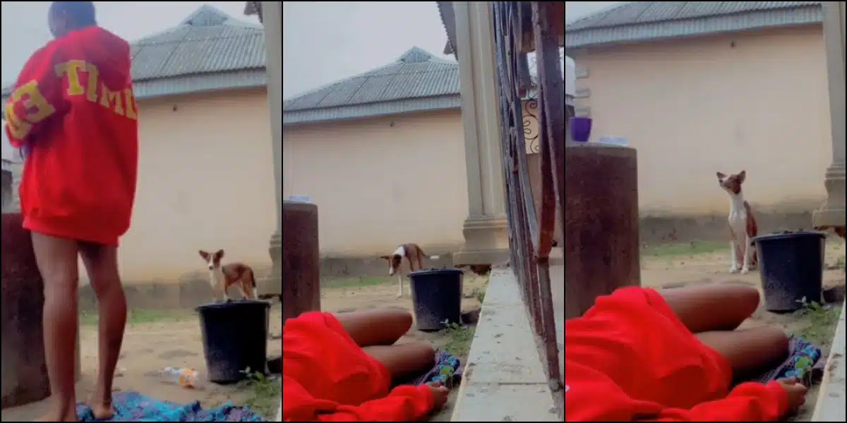 Lady pretends to faint in front of her 'Ekuke' dog, it reacts