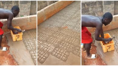 Video of bricklayer using drink crate to create interlock design goes viral