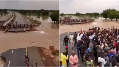 Dramatic moment flood cuts off Kano-Maiduguri Highway