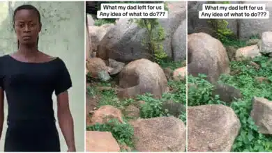 Lady shows her 'surprising' land inheritance from her father, seeks advice online