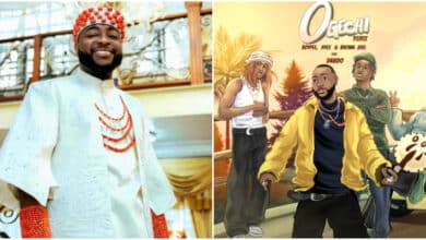 YouTube removes Davido’s wedding hit 'Ogechi remix' music video over copyright issues