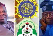 Dele Momodu calls out FG over new age limit for WAEC and NECO exams