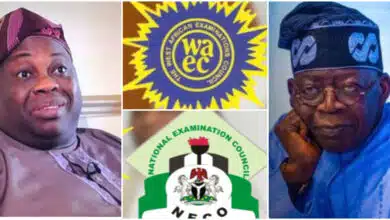 Dele Momodu calls out FG over new age limit for WAEC and NECO exams